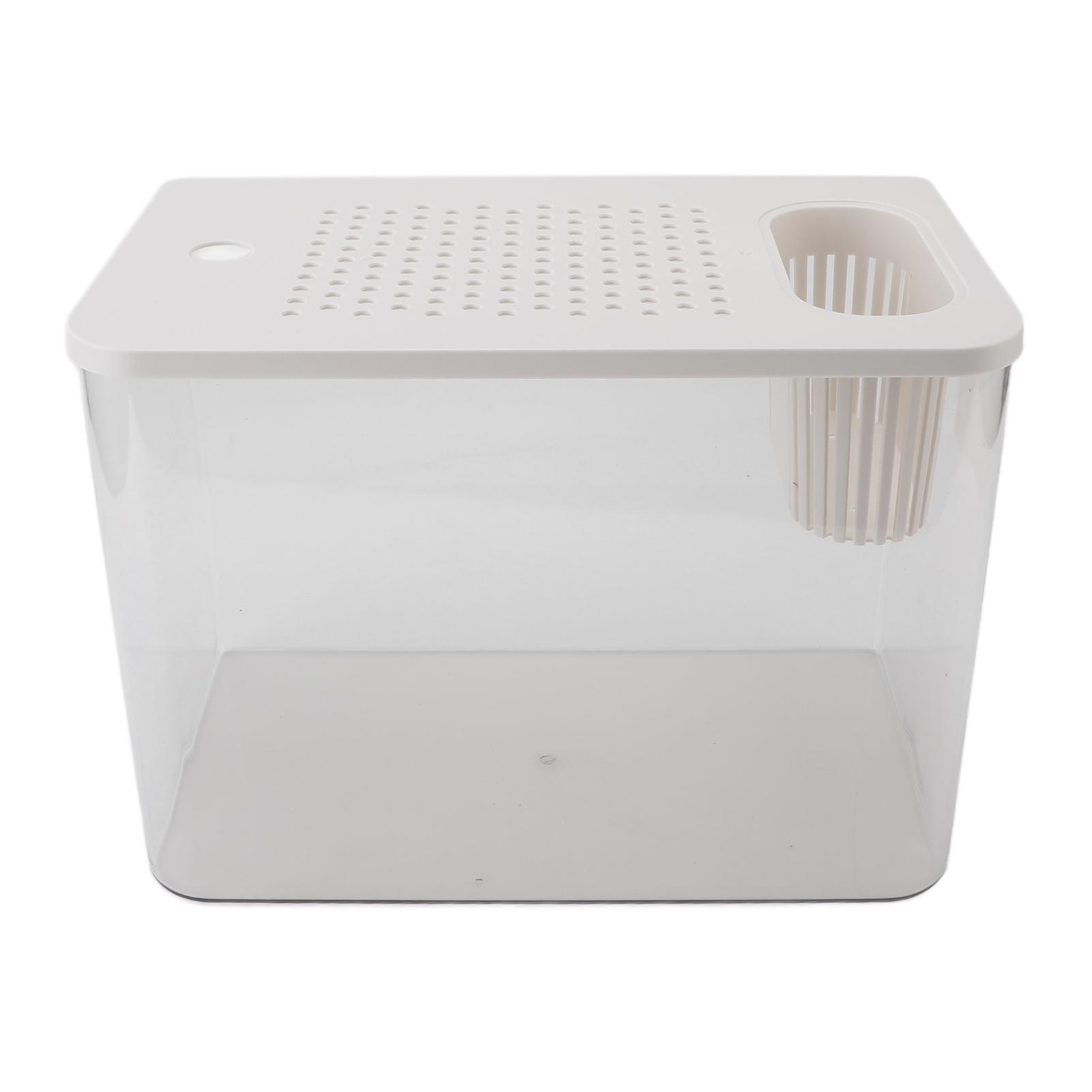 Small Fish Plastic Clear Landscape Desktop Aquarium for Goldfish Shrimp Betta Fish