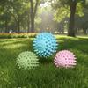 TPR Dog Chew Toys Spiky Ball & Slipper Shape Bite-Resistant Teething Toys for Puppies Dental Cleaning