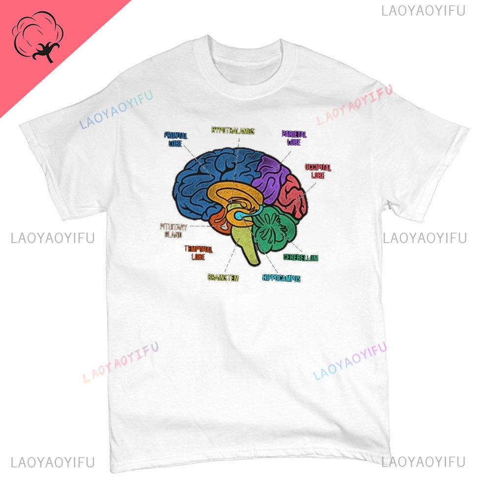 Funny Part of The Brain Color Chart High Quality Tshirt Neurology Print Harajuku Unisex Summer Short Sleeve Gift Tshirt Tops