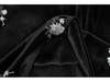 Heavy Industry Embroidery Sequins Velvet Plus-Size Black A-line Winter Skirt