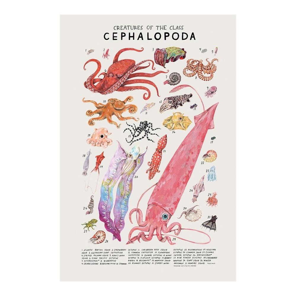 Abstract Marine Organisms Jellyfish Whale Squid Fishes Posters Canvas Painting and Prints Wall Art Picture for Room Home Decor