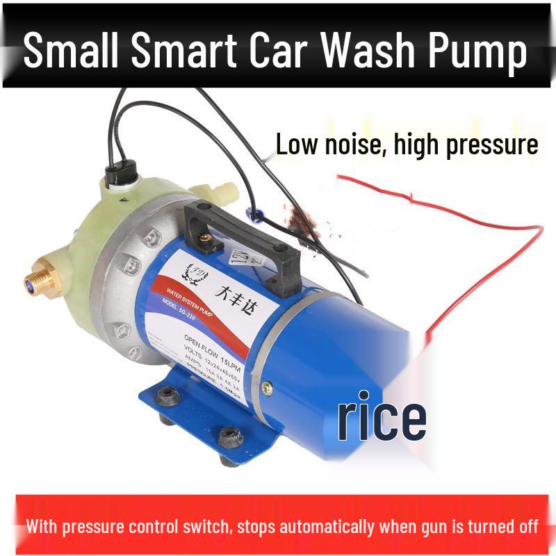 Da Feng Da 310 Electric High-Pressure Self-Priming Water Pump for Spraying & Car Wash - 5-Cylinder Diaphragm Pesticide Applicator.