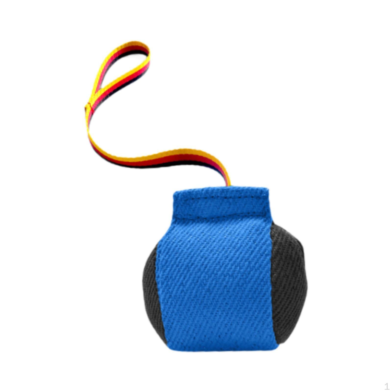 

Dog Bite Tug Toy Training,Portable,Bite Resistant Sturdy Pillow Interactive for Blue Black