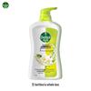 Dettol Refreshing Moisturizing Shower Gel - 12 X 650g Bulk Pack