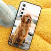 Golden Retriever Dog Case For Xiaomi 15 14 Ultra 13T 14T 15T 17 Pro Max Cover For POCO X7 F8 Pro X3 X5 X6 F5 F6 F7