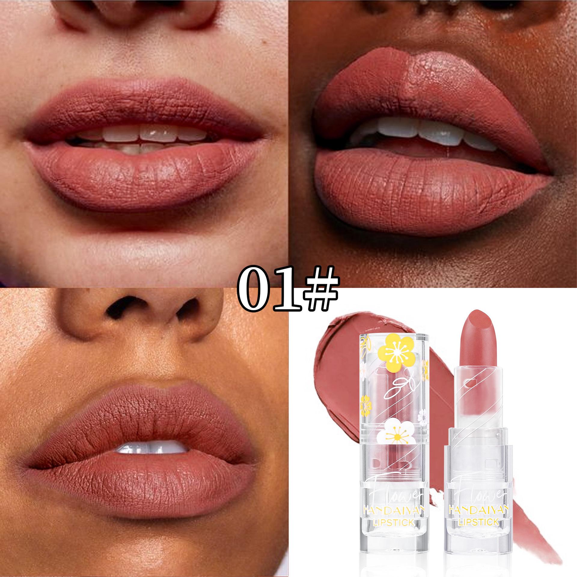 

Цветочная дымка Прозрачный тюбик Матовая нюдовая помада 12 цветов Водостойкая Сексуальные конфетные цвета Водостойкая Невыцветающая антипригарная помада Стойкая помада