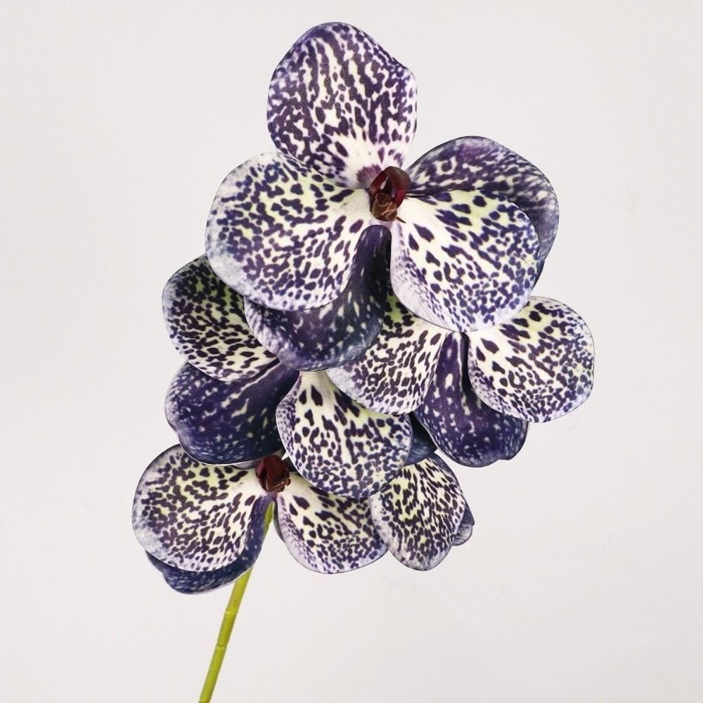 Real Touch Artificial Vanda Orchid Flower Butterfly Orchid Fake Flower Branch  Wedding Party Favors