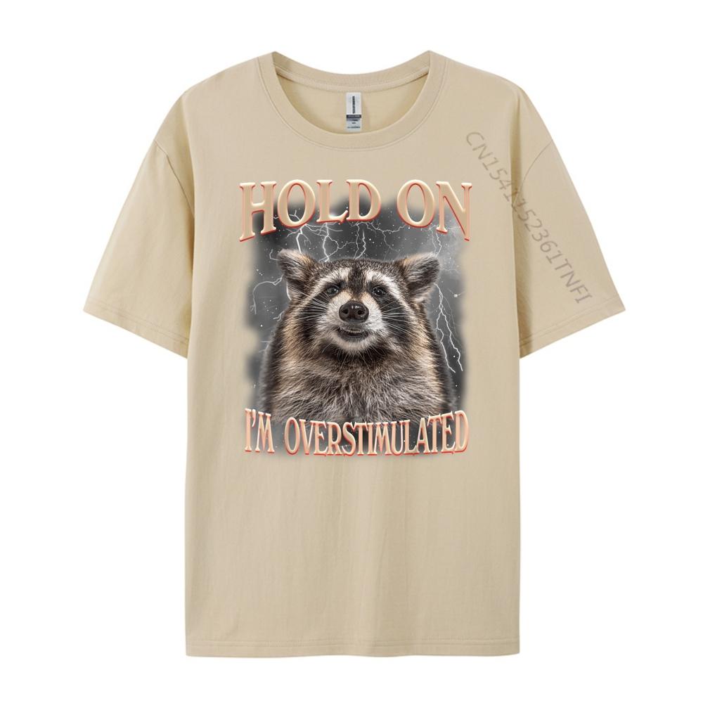 Hold On Im Overstimulated Raccoon Funny Men Women Streetwear Men Fall T Shirts For Men