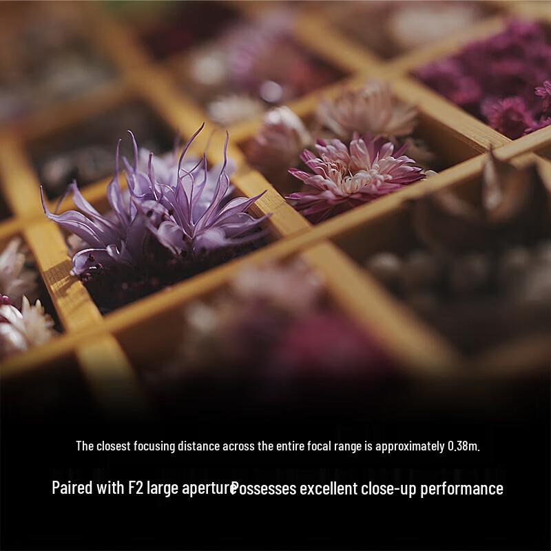 Sony FE 28-70mm F2 GM G Master Full-Frame Lens