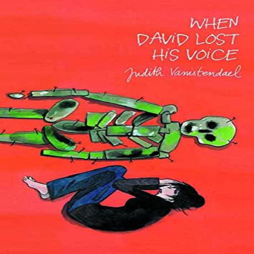 When David Lost His Voice by Judith Vanistendael Hardback Book 9781906838546