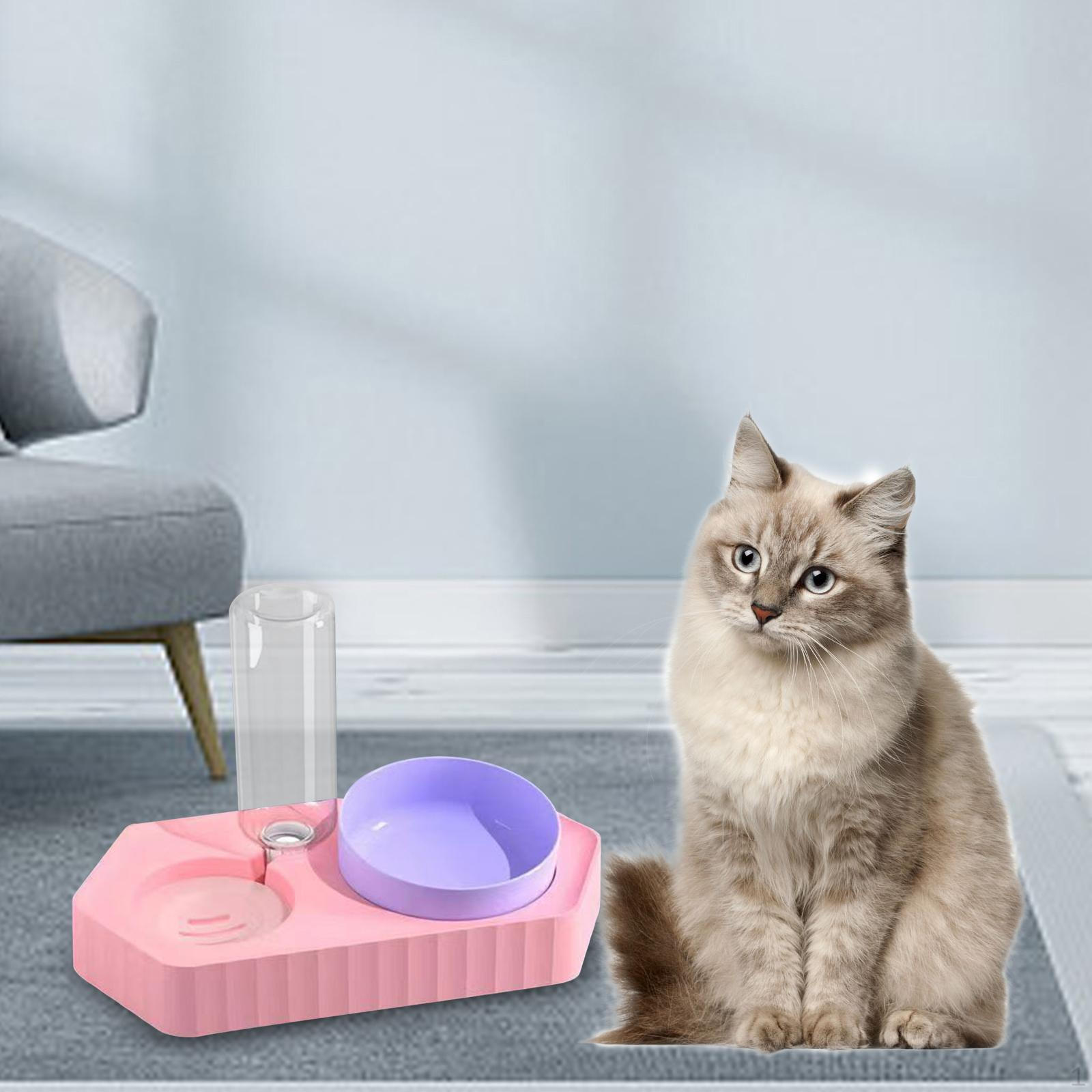

Dog Bowls Drink Fountain Cat Food Dishes Pet Feeding Station Detachable Non Slip Automatic double pink
