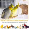 Automatischer Vogelfutterspender Tablett Papageienfutterspender Tränke Acryl Klar Samen Futterbehälter Für Hinterhof, Nymphensittich, Fink, Eichhörnchen