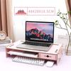 Ergonomic Laptop Cooling Stand with Storage