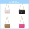 Fashionable Grid Chain Shoulder Crossbody Bag 2024 Spring New Popular Versatile Small Square Bag For Women