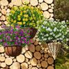 3 Bunch Multicolors Artificial Flowers Plastic 34cm Spring Grass Tea Flowers Realistic Simulation Floral Bouquets