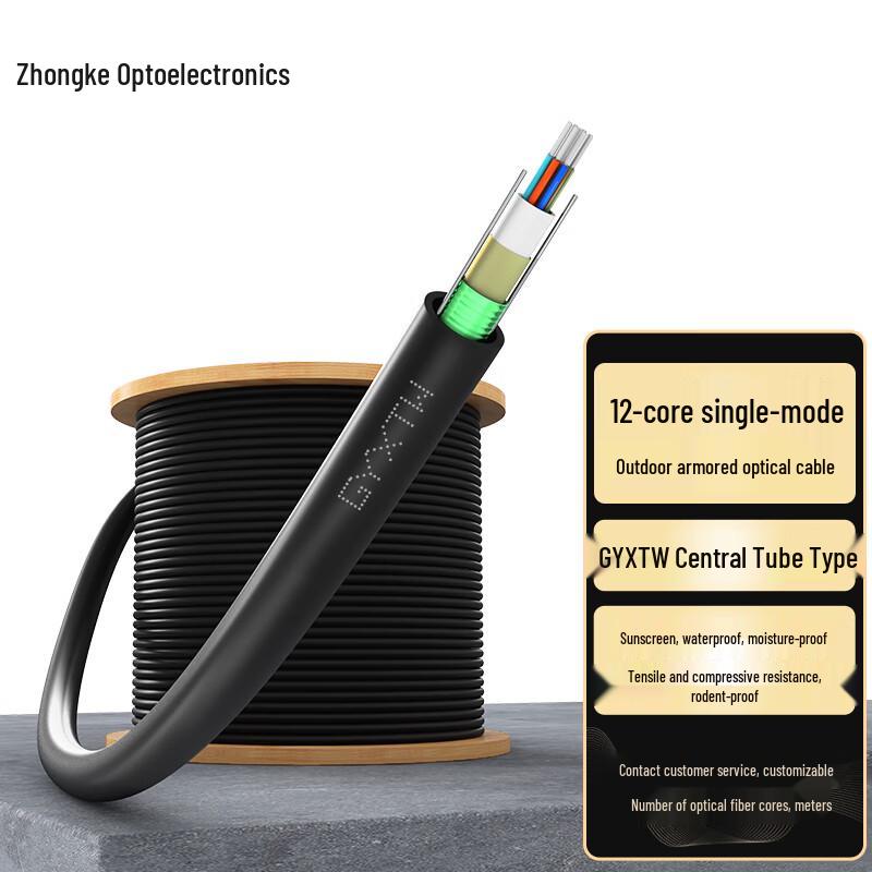 Zhongke Optoelectronics GYXTW Outdoor Single-Mode Armored Fiber Optic Cable 12-Core