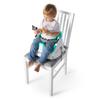 Dine Booster Seat & Discover™ Multi-Use
