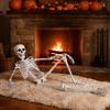 Hochwertiges Halloween-Skelett 3 Fuß Lebensgroßes Skelett, Vollkörper-bewegliches Kunststoff-Requisit, Realistisches verstellbares Figuren-Modell menschlicher Knochen für Garten Terrasse