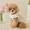 Soft Rose Flower Dog Dress Cute Cat Princess Skirt Pet Supplies Pet Summer Clothes Small Animal