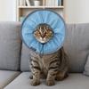 Anti-licking Pet Elizabethan Collar Anti Biting Waterproof Pet Grooming Collar Soft Adjustable Cat Recovery Collar Neck Recovery