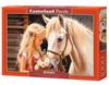 Puzzle 1000 Pieces C-105205-2 My Friend Horse