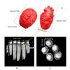 55KF Silicone Heart Brains Models Squeeze Toy For Horror Party or Classroom Demonstrations Organ Ornaments