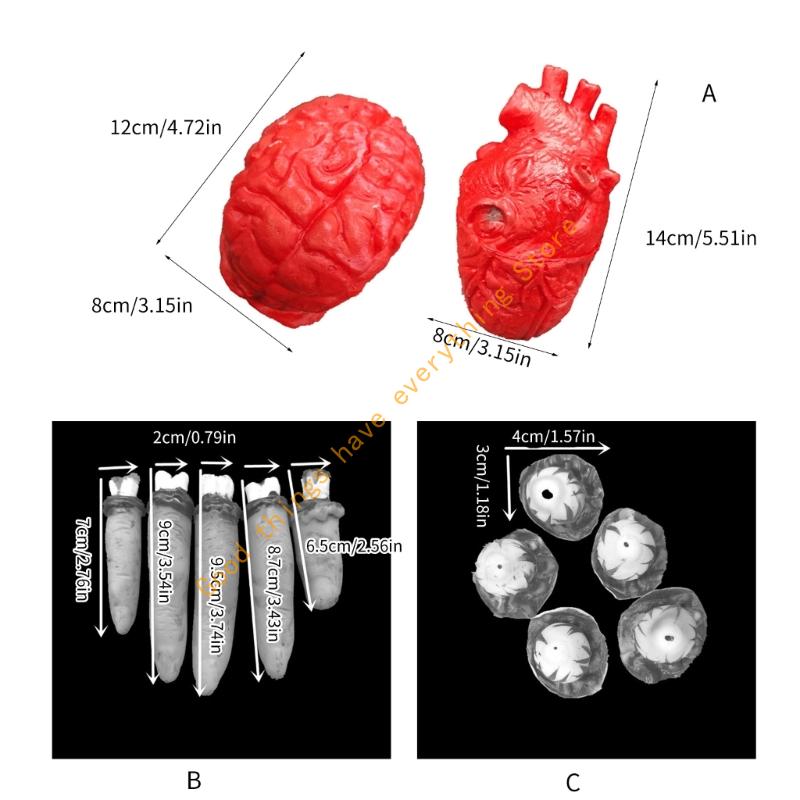 55KF Silicone Heart Brains Models Squeeze Toy For Horror Party or Classroom Demonstrations Organ Ornaments