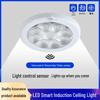 LED Plum Blossom Sensor Ceiling Emergency Light