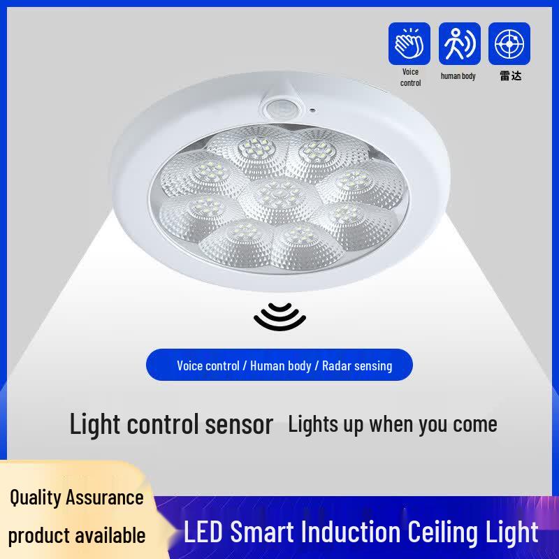 LED Plum Blossom Sensor Ceiling Emergency Light