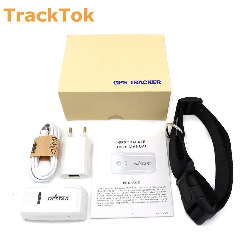 Умный GPS ошейник для домашних животных для собак и кошек - Глобальное отслеживание в реальном времени, Мониторинг активности и Неограниченный радиус действия (Водонепроницаемый и длительный срок службы батареи) standard