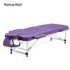 Meizhiyan Portable Aluminum Massage Bed for Home, Tattoo, and Physiotherapy Use