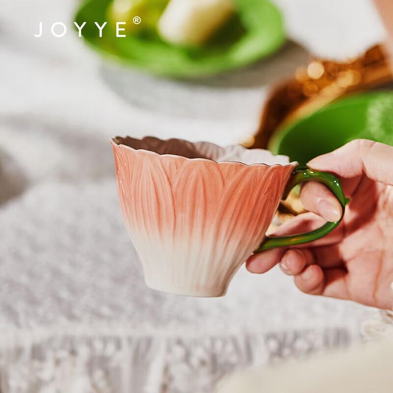 JOYYE Underglaze Ceramic Mug Gift Set