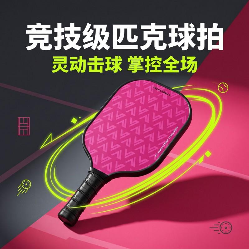 Fiberglass Pickleball Paddle Set Professional Advanced Rackets Games