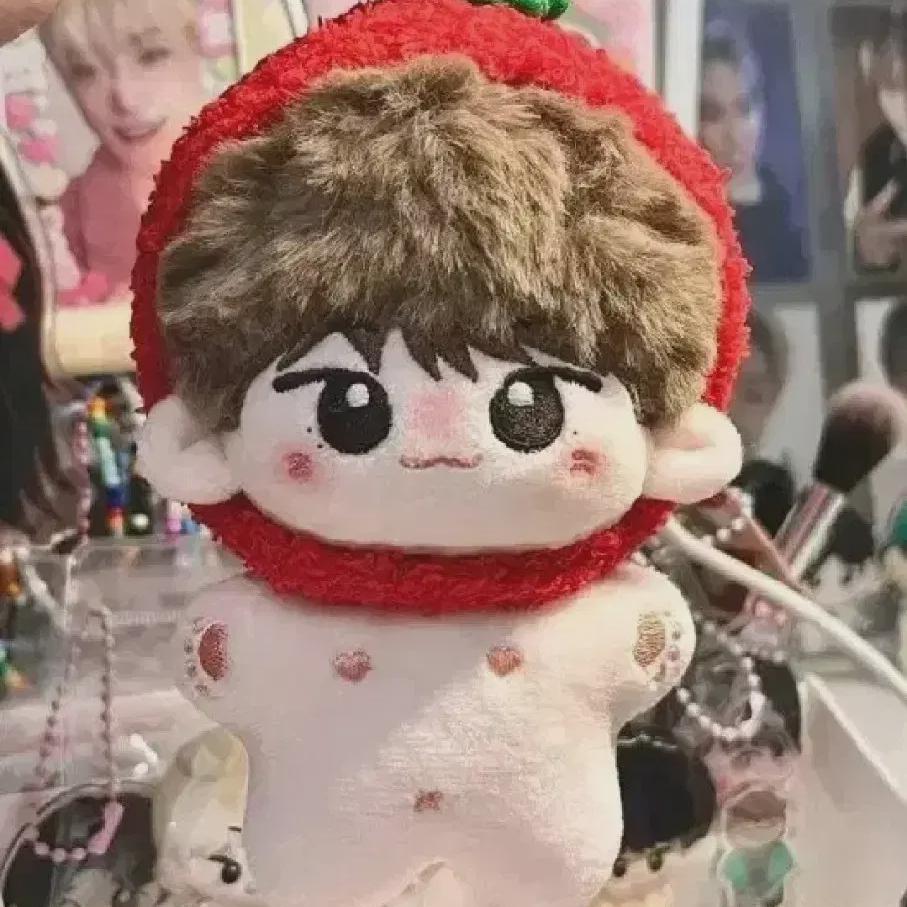 I Sell Seventeen Lee Chan Dolls