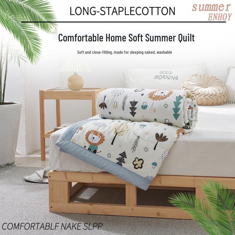 Bobbirani Summer Air-Conditioning Quilt