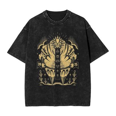 Sprana Koszulka Męska Estetyczne Codzienne T-Shirty Letnie Oddychające Koszulki Harajuku Design Oversize Topy