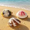 Realistic Shell Water Squirt Toy Clam Style Press Water Gun Outdoor Pool Beach Water Play Toy Random Design Included