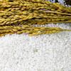 JingGuan Panjin Crab-Field Rice