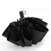 Nanqiao 10-Rib Automatic UV Protection Umbrella