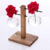 Glass Terrarium Planter Bulb Vase with Retro Solid Wooden Stand Plant Propagation Tubes Hydroponics Vase for Home Garden Decor