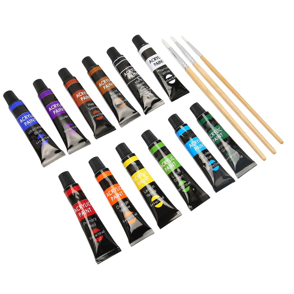 Acrylic Paint Set 12 Color Art Doodle Acrylic Craft Paint Set with 3 Brushes for Adults Kids