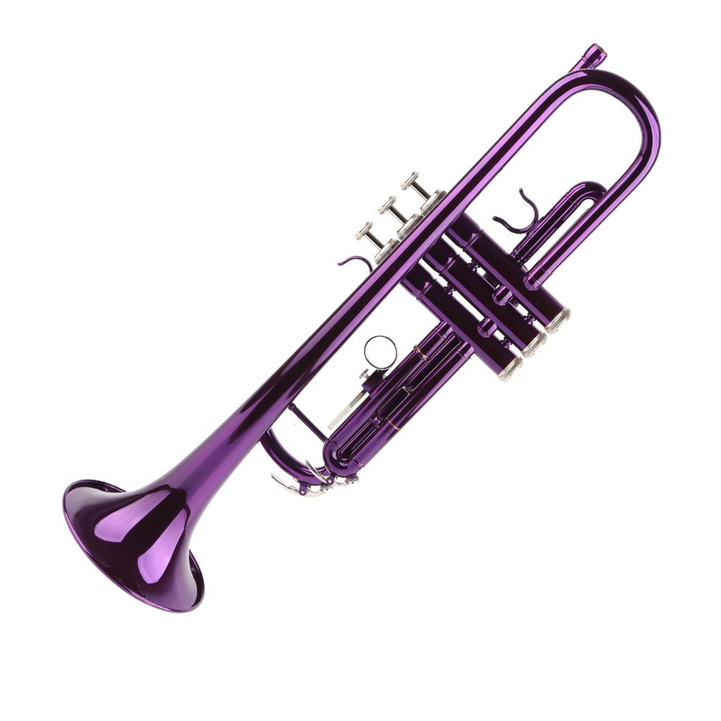 Trompeten-Set B, Messing, Ersatzteile, Musikinstrumentenzubehör mit Aufbewahrungstasche, Lila