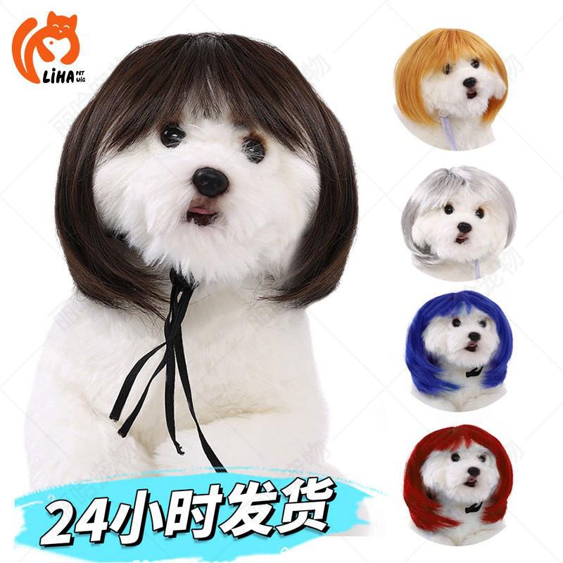 Parrucche Chic per Animali Domestici: Frange alla moda e caschetti carini per cani