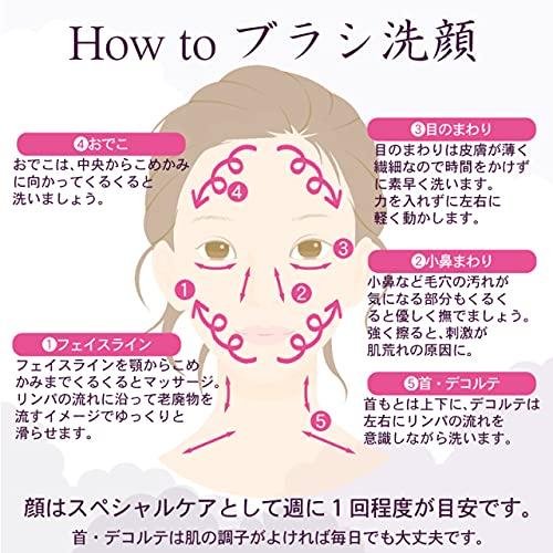 Murakishi Sangyo Sakura Series Facial Cleansing Brush FU-1 (1 Brush) 4979231155703