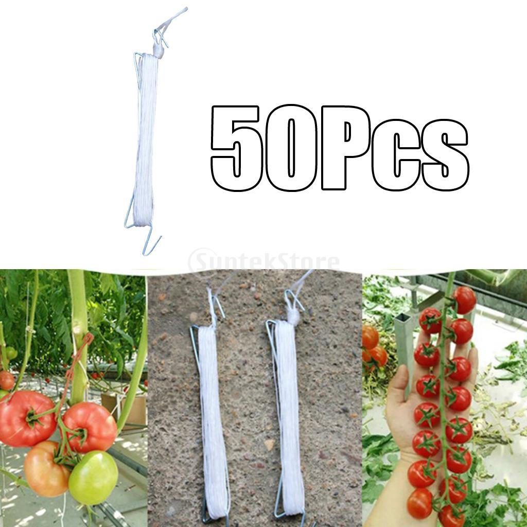 

50 Tomato Hooks Support Clips For Planting Cucumber