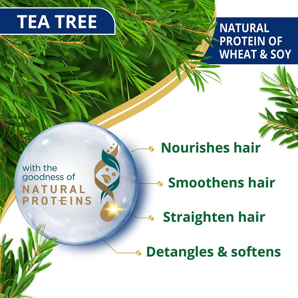 Himalaya Anti Dandruff Tea Tree Conditioner For All Hair Types 80ml – Nourishes, Smoothens, Reduces Breakage, Leaves Hair Soft And Healthy
