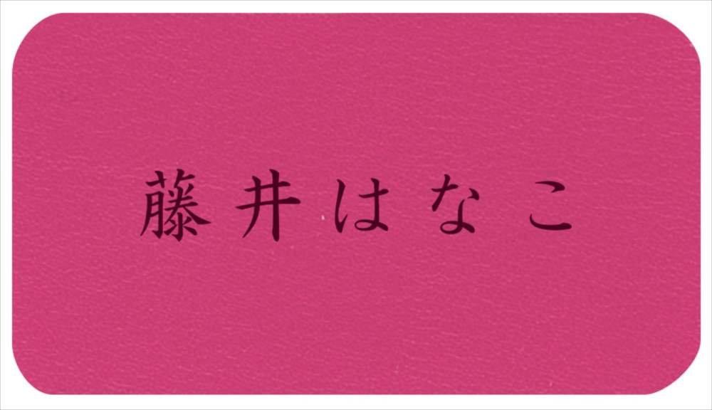 Raymay Fujii Pen Large Topliner Pink FSB602P Case, Capacity, Leather,