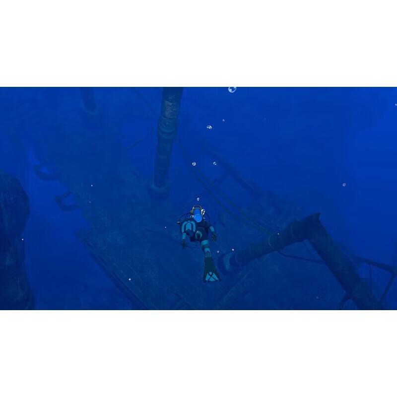 Nintendo Switch Game Cartridge: Eternal Blue Stream