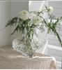 Luxury Glass Hydroponic Flower Vase: Elegant Home Decoration for Living Room