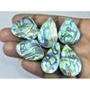 242Cts. Natural Abalone Shell Pear Shape Cabochon Loose Gemstone 06Pcs Lot C-1838